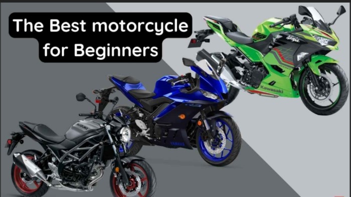 "Top 5 Best Motorbikes for Beginners: